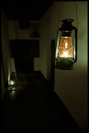 Evening In A Hotel, Nature Of Usambara Mountains, Tanzania