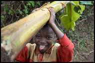 Returning From A Work, People Of Usambara Mountains, Tanzania