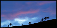 Sunset On Mountains, Best of 2005, Norway