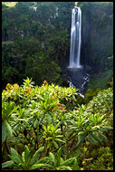 Thomson's Falls, Thomson's Falls, Kenya