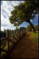 Sunrise By Thomson's Falls, Thomson's Falls, Kenya