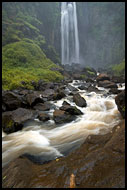 River By Thomson's Falls, Thomson's Falls, Kenya