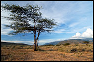 Still Alive?, The Suguta Valley-Nature, Kenya
