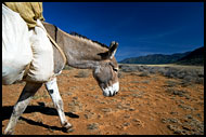 Endless Journey, The Suguta Valley-Nature, Kenya