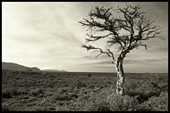 Black And White Dreams, The Suguta Valley-Nature, Kenya