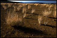 Inhospitable Plains, Lake Logipi, Kenya