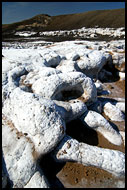 Salty Banks Of Lake Logipi, Lake Logipi, Kenya