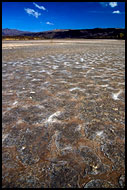 Dry Land By Lake Logipi, Lake Logipi, Kenya