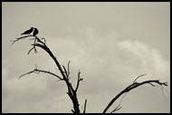 Love In The Middle Of The Desert, Northern Part, Kenya