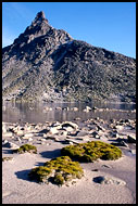 Dovrefjell Scenery, Best of 2001, Norway