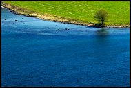 Lonely Tree By Sea, Best of 2005, Norway