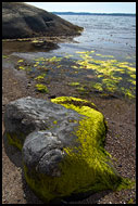 Stone By A Coast, Best of 2005, Norway