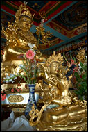 Interior Of The Temple, Golden Temple, Namdroling Monastery, India