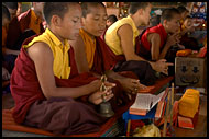 Chanting Monks, Golden Temple, Namdroling Monastery, India