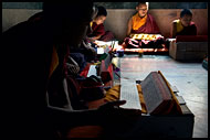 Monks In Prayer, Golden Temple, Namdroling Monastery, India