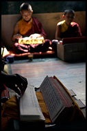 Monks In Prayer, Golden Temple, Namdroling Monastery, India