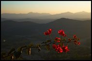 Sunset Over Kodagu Hills, Kodagu (Coorg) Hills, India