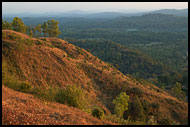 Kodagu Hills, Kodagu (Coorg) Hills, India