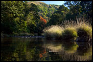 Coorg Nature, Kodagu (Coorg) Hills, India