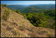 Kodagu Hills, Kodagu (Coorg) Hills, India