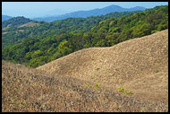 Kodagu Hills, Kodagu (Coorg) Hills, India