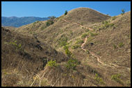 Trekking In Kodagu Hills, Kodagu (Coorg) Hills, India