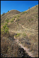 Trekking In Kodagu Hills, Kodagu (Coorg) Hills, India