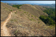 Trekking In Kodagu Hills, Kodagu (Coorg) Hills, India