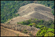 Kodagu Hills, Kodagu (Coorg) Hills, India