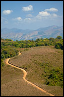 Path Throuh The Coorg Hills, Kodagu (Coorg) Hills, India