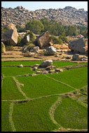 Rice Fields And Moon Landscape, Hampi - Nature, India
