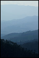 Ooty Landscape, Ooty, India