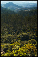 Ooty Landscape, Ooty, India