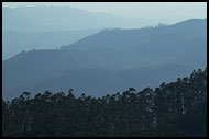 Ooty Landscape, Ooty, India
