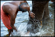 Washing An Elephant, Elephant Training Center, India