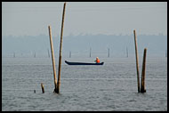 Morning Life On Backwaters, Backwaters, India