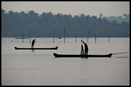 Morning Life On Backwaters, Backwaters, India