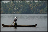 Morning Life On Backwaters, Backwaters, India