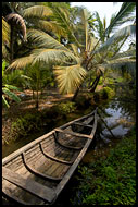 Small Channels Of Backwaters, Backwaters, India