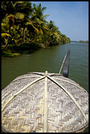 Backwaters Cruise, Backwaters, India