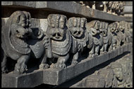 Tiger - The Royal Emblem Of Hoysala Dynasty, Belur And Halebid, India