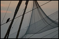 Chinese Net (Cheena Vala), Cochin - Chinese Nets (Cheena vala), India