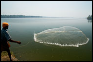 Local Fisherman, Cochin (Kochi), India