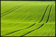 Fields, Best of 2006, Norway