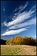 Autumn In Vestfold, Best of 2006, Norway