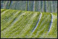 Fields And Snow, Best of 2006, Norway