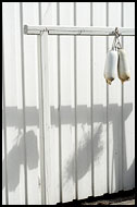Fenders And Shadows, Best of 2006, Norway
