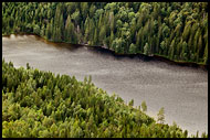 Trees And Lake, Best of 2006, Norway