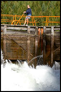 Opening The Lock Chamber, The Telemark Canal (Telemarkskanalen), Norway