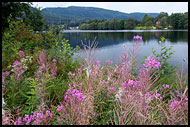 Landscape Of The Telemarkskanalen, The Telemark Canal (Telemarkskanalen), Norway